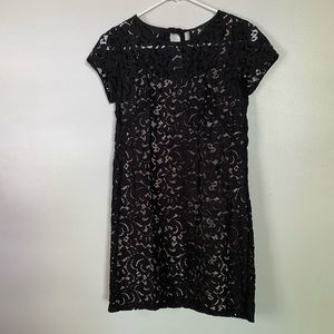 Ann Taylor Loft Lace Dress